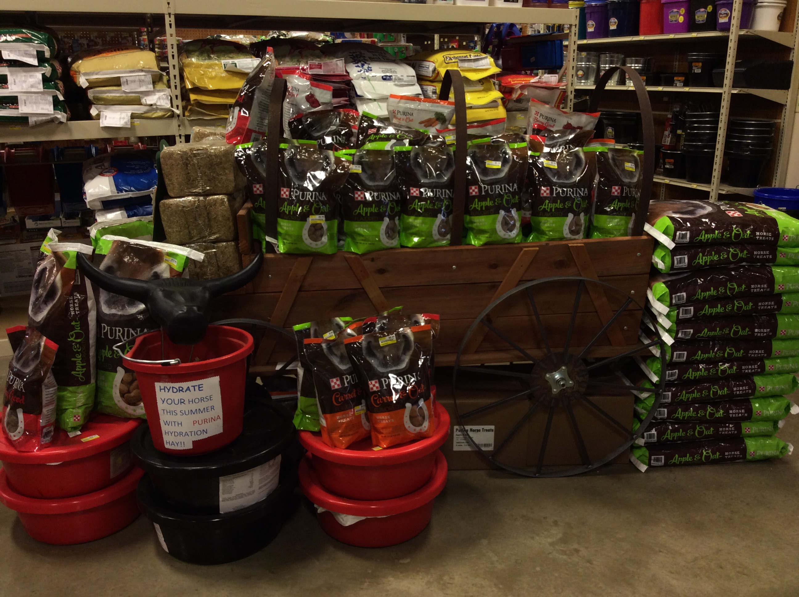 PurinaHorseTreatdisplay Argyle Feed Store