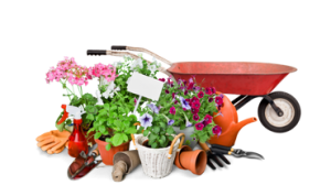September Gardening Tips | Argyle Feed Store