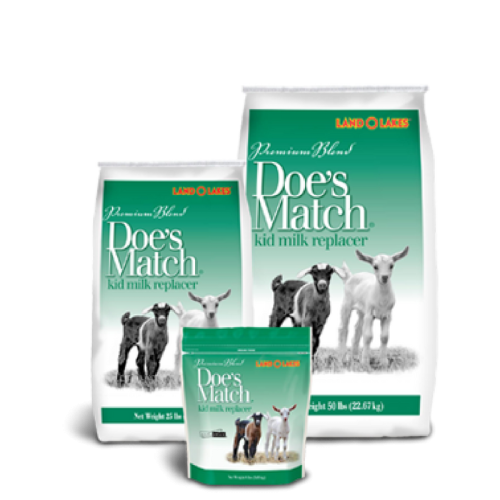 Land o lakes pet food top