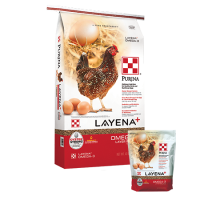 Purina Layena Plus Omega-3 | Argyle Feed Store