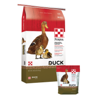 Purina Duck Feed Pellets | Argyle Feed Store