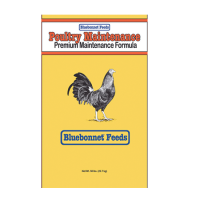 Bluebonnet Poultry Maintenance 14%
