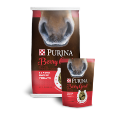 Purina Berry Good Senior Horse Treats | Argyle Feed Store