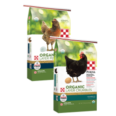 Purina Organic Layer Crumbles | Argyle Feed Store