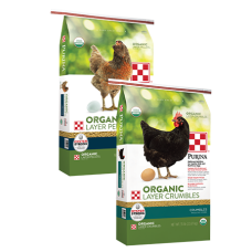 Purina Organic Layer Crumbles