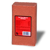 Roto Red Trace Mineral Salt Block