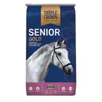 Triple Crown Senior Gold