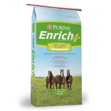 Purina Enrich Plus Ration Balancing Horse Feed | Argyle Feed Store