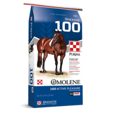 Purina Omolene 100 Active Pleasure Horse Feed | Argyle Feed Store