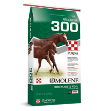 Purina Omolene 300 Growth Mare & Foal Feed | Argyle Feed Store