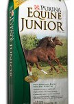 equine jr bag