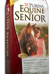 equineseniorbag