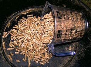 a manufactured pelleted ration for horses, mad... a manufactured pelleted ration for horses, mad...