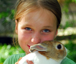 small animals