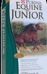 equine jr