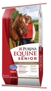 Equine Senior