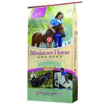 MiniHorsePonyFeed