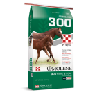 Purina-Omolene-300-Mare-and-Foal-450