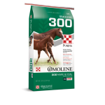 Purina-Omolene-300-Mare-and-Foal-850