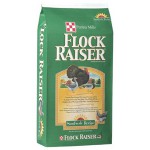 LayenaFlockRaiser.jpg