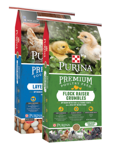 Purina Poultry Promotion | Argyle Feed Store