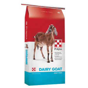 Purina Dairy Goat Parlor 16