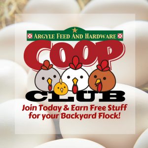 Argyle Feed's Coop Club