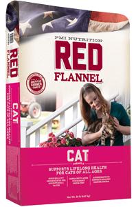 Red Flannel Cat