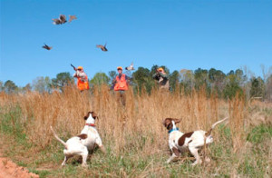 hunting licenses st Argyle Feed store