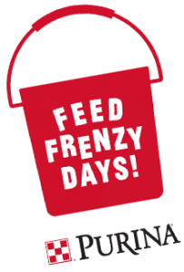 FeedFrenzy