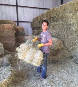 Argyle Feed_Hay Shipment