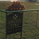 ArgyleFeed_Gate&Pumpkins