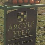 ArgyleFeed_Gate&Pumpkins