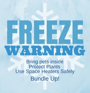 Winter Freeze