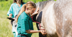 Season Changes Can Mean Diet Problems in Horses