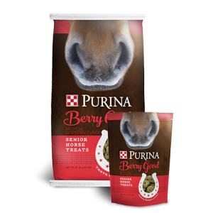 Purina Berry Good Senior Horse Treats