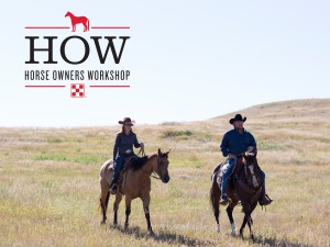 Horse Owners Workshop