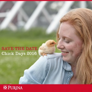 Chick Days Workshop