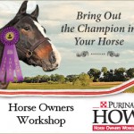HorseOwnersWorkshopPostGraphic