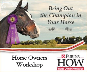 Argyle Feed 2018 Horse Workshop