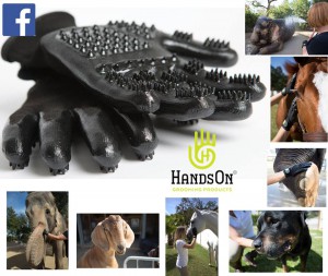 HandsOn Grooming Gloves