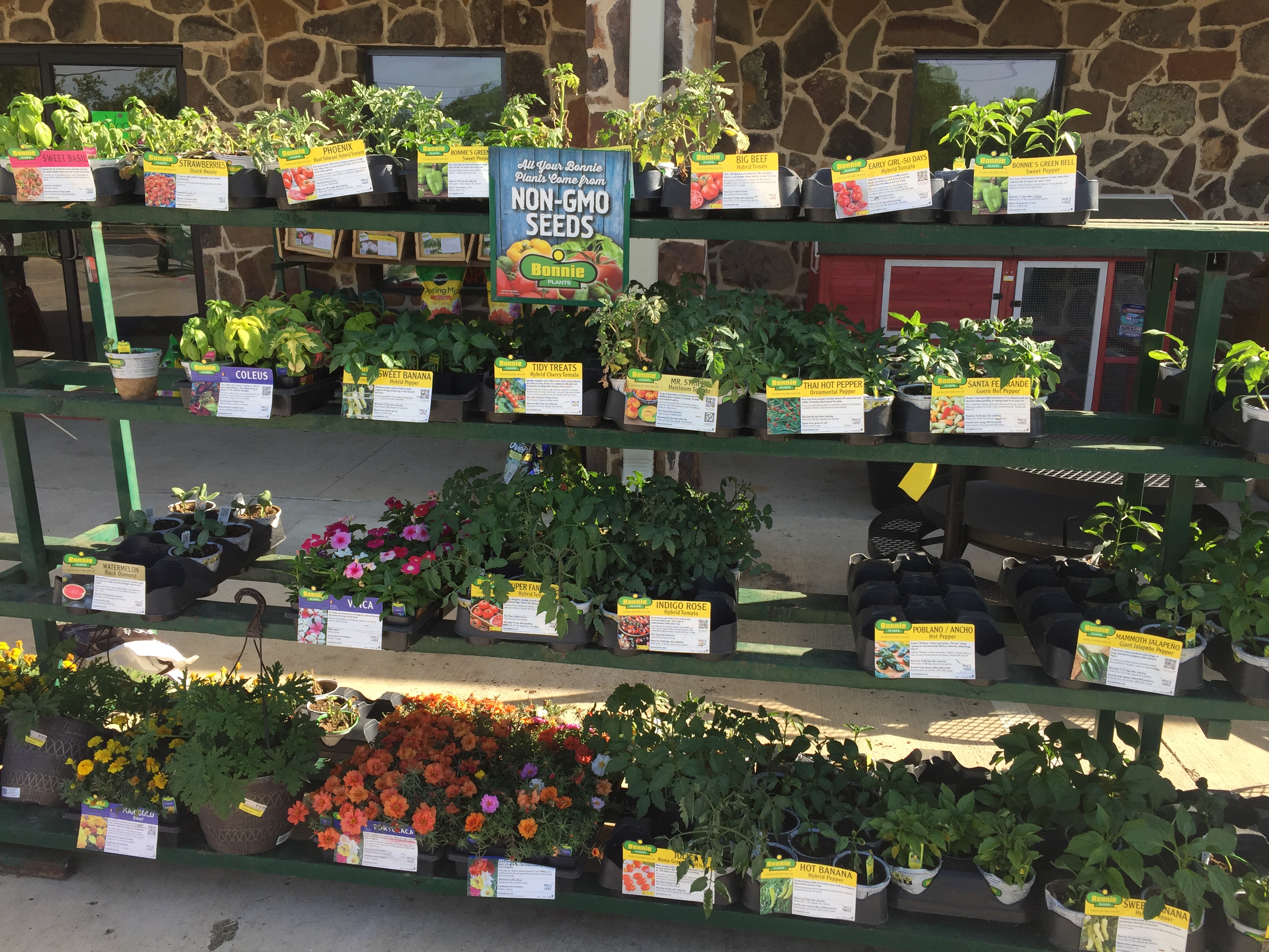 Bonnie plants milton wi