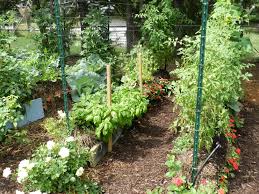 Straw Bale Gardening