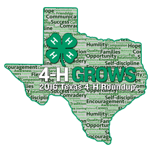 2016 Texas 4H Roundup