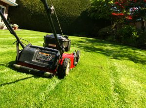 Vacation Lawn Care