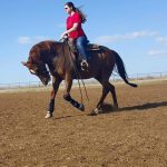 Kaylan Riding