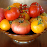 hybrid-tomatoes-bonnie-plants-150×150.jpg