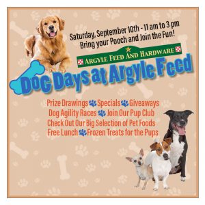 Argyle Feed Dog Days