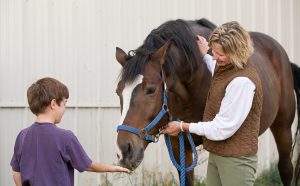 Horse Workshop