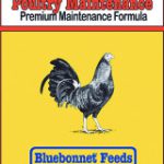 bb_poultry_maintenance_0513-160×300